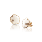 Colección Petit joli 