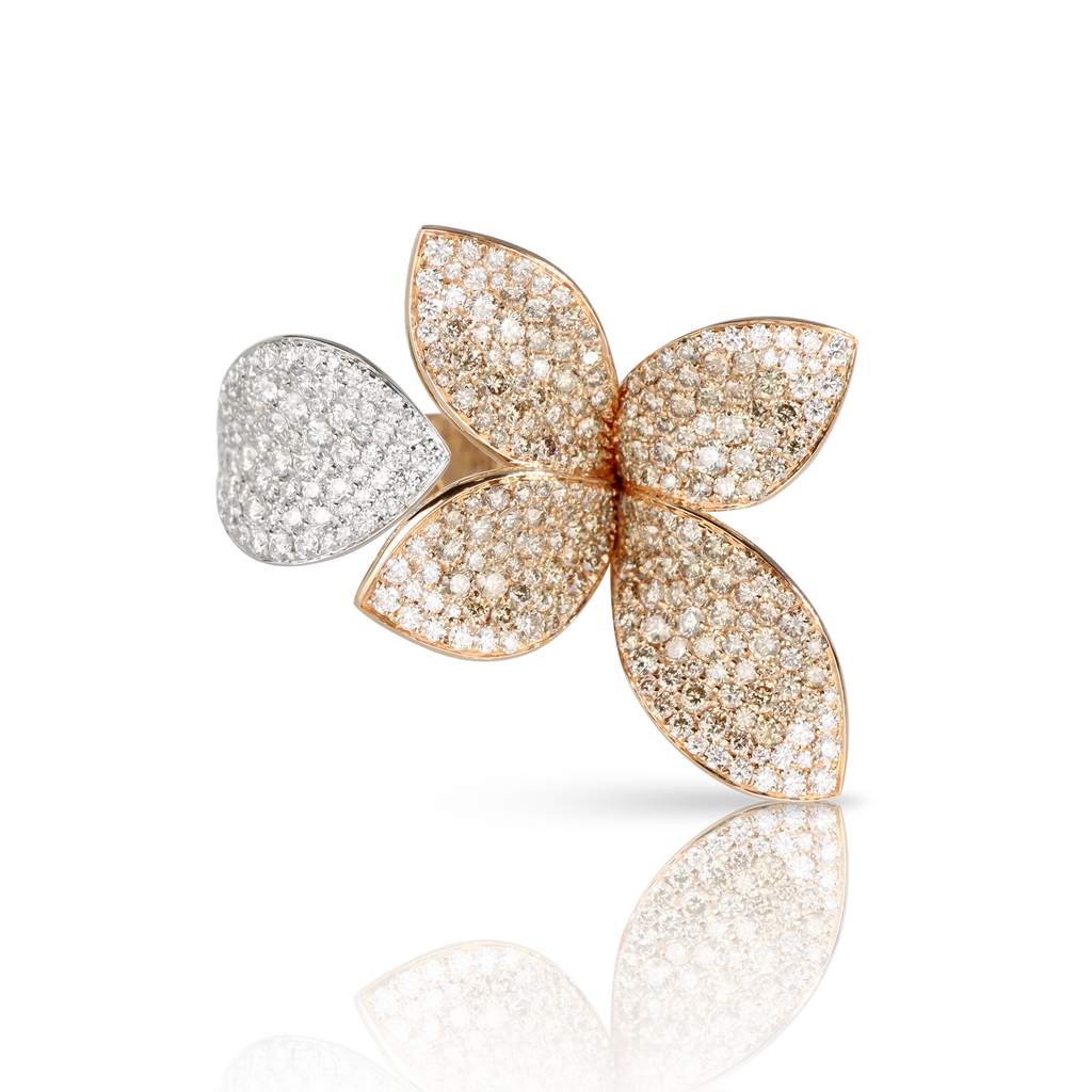 ANILLO GIARDINI SEGRETI