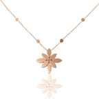 Colección Ghirlanda